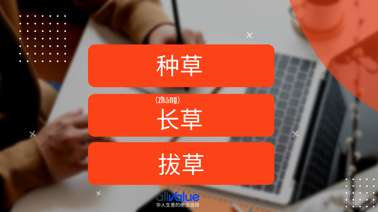 內(nèi)容與商業(yè)相遇：小紅書，2023海外華人商家一定要抓住的商業(yè)風(fēng)向